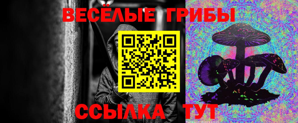 Галлюциногенные грибы MAGIC MUSHROOMS Подольск