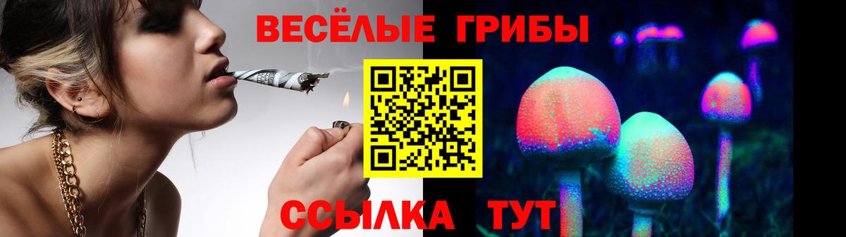 Подольск  Галлюциногенные грибы MAGIC MUSHROOMS  Вход с VPN 